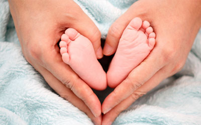 The Fourth Trimester