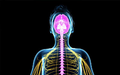 Why Pain Feels Worse During Menopause